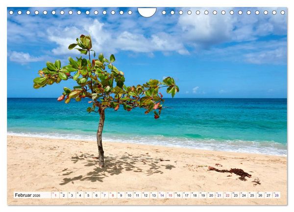 Produktbild: Inseln &uuml;ber dem Winde (Wandkalender 2026 DIN A4 quer), CALVENDO Monatskalender
