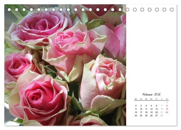 Produktbild: Die vielen Gesichter der Rosen (Tischkalender 2026 DIN A5 quer), CALVENDO Monatskalender