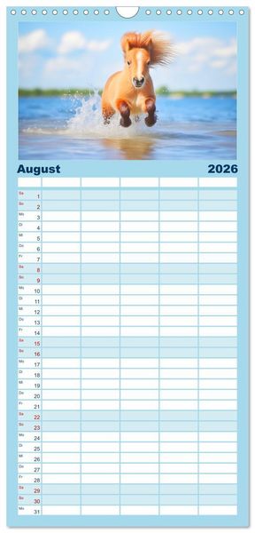 Produktbild: Familienplaner 2026 - Kleine Pferde. Mini-Ponys zum verlieben mit 5 Spalten (Wandkalender, 21 x 45 cm) CALVENDO