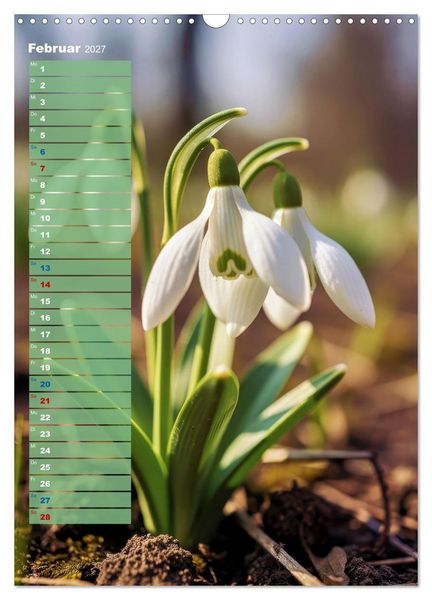 Produktbild: Bunte Augenblicke (Wandkalender 2027 DIN A3 hoch), CALVENDO Monatskalender