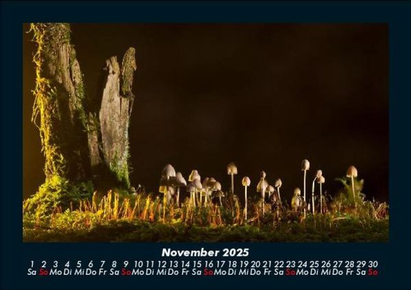 Produktbild: Naturlandschaften 2025 Fotokalender DIN A5