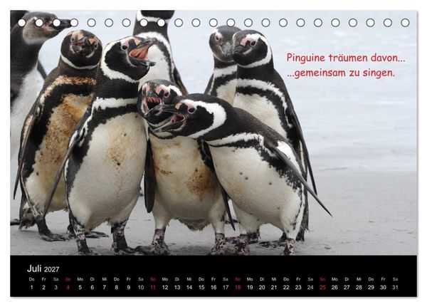 Produktbild: Wovon Pinguine tr&auml;umen (Tischkalender 2027 DIN A5 quer), CALVENDO Monatskalender