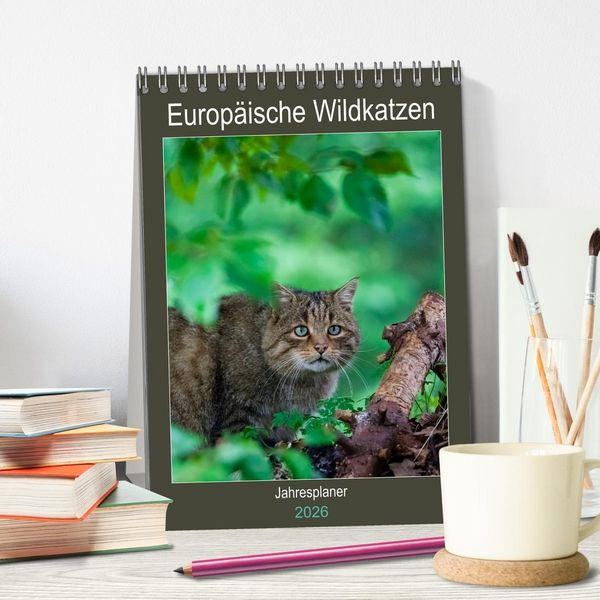 Produktbild: Europ&auml;ische Wildkatzen - Jahresplaner (Tischkalender 2026 DIN A5 hoch), CALVENDO Monatskalender