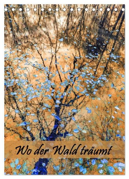 Produktbild: Wo der Wald tr&auml;umt (Tischkalender 2026 DIN A5 hoch), CALVENDO Monatskalender