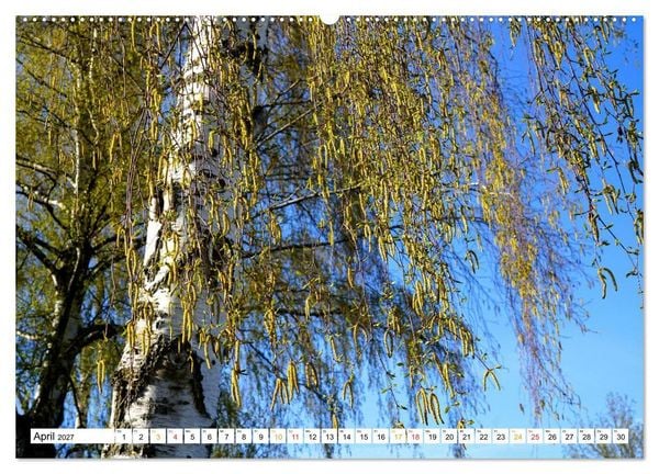 Produktbild: 12 Monate Natur (Wandkalender 2027 DIN A2 quer), CALVENDO Monatskalender