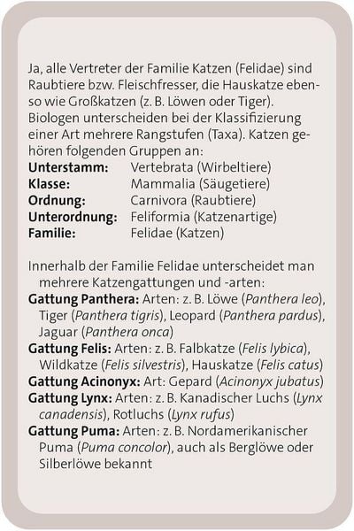 Produktbild: Das gro&szlig;e Katzen Quiz