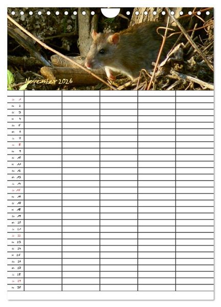 Produktbild: Bauernhoftiere Familienplaner (Wandkalender 2026 DIN A4 hoch), CALVENDO Monatskalender