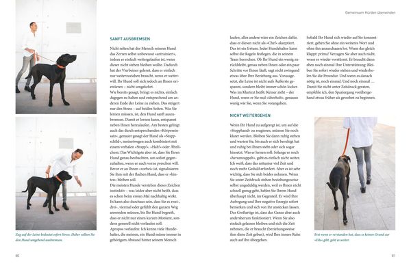 Produktbild: Die Jos&eacute;-Arce-Methode: Liebe Deinen Hund. Wie Sie beim Gassigehen die Beziehung st&auml;rken
