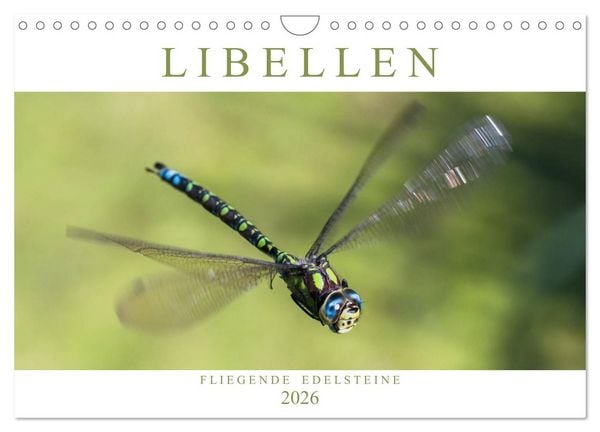 Produktbild: Libellen - Fliegende Edelsteine (Wandkalender 2026 DIN A4 quer), CALVENDO Monatskalender