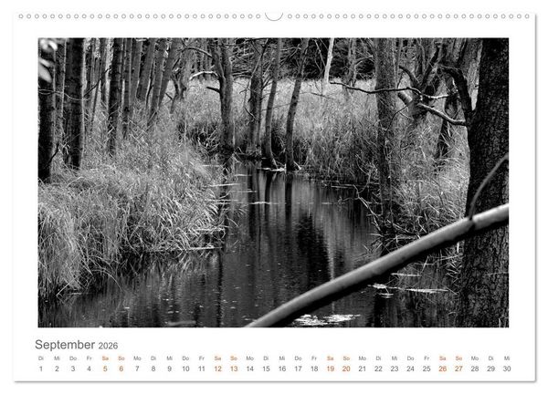 Produktbild: Quo Vadis? W&auml;lder und Wege in der R&ouml;hn, L&uuml;neburger Heide und der Mecklenburgischen Seenplatte (Wandkalender 2026 DIN A2 quer), CALVENDO Monatskalender