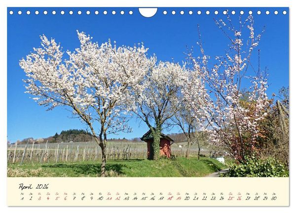 Produktbild: Malerisches Heppenheim an der Bergstra&szlig;e (Wandkalender 2026 DIN A4 quer), CALVENDO Monatskalender