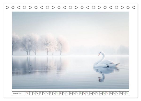 Produktbild: Naturparadies Wald (Tischkalender 2026 DIN A5 quer), CALVENDO Monatskalender