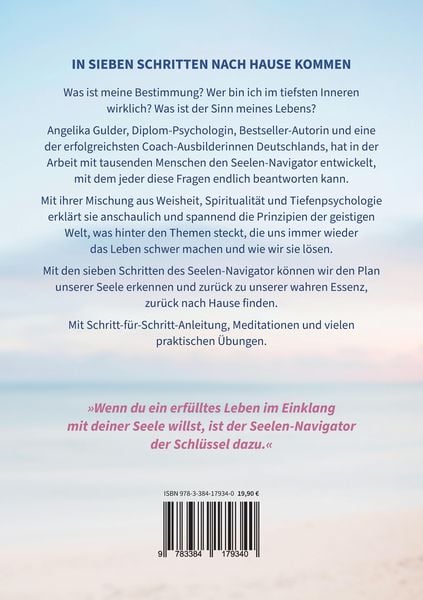 Dein Seelen-Navigator | Wie ich meine Bestimmung gefunden habe – und wie dir das auch gelingt | Bedienungsanleitung für die Seele