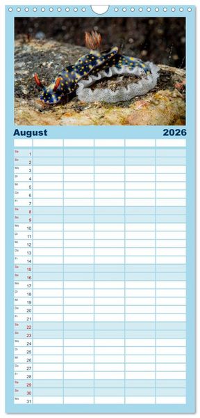 Produktbild: Familienplaner 2026 - Nudis &ndash; Die bunte Welt der Nacktschnecken mit 5 Spalten (Wandkalender, 21 x 45 cm) CALVENDO