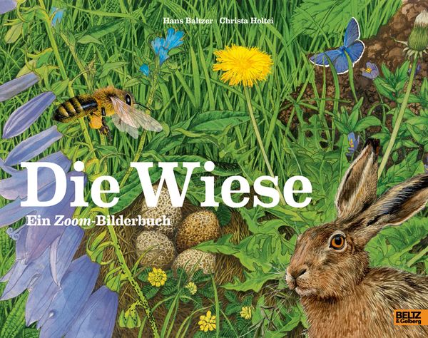 Produktbild: Die Wiese