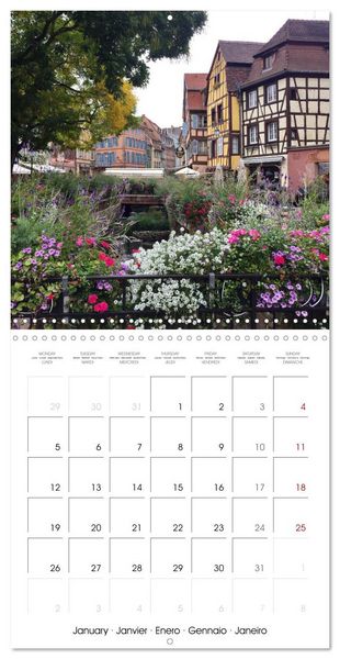 Produktbild: France Alsace (Wall Calendar 2026 12 &times; 12 Inch) CALVENDO 12 Month Wall Calendar