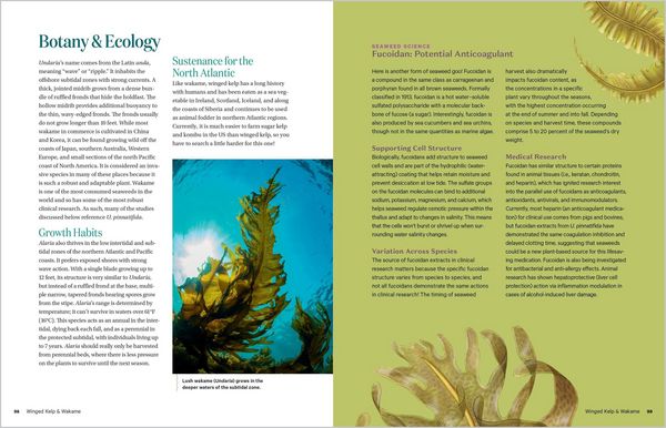 Produktbild: Edible & Medicinal Seaweeds