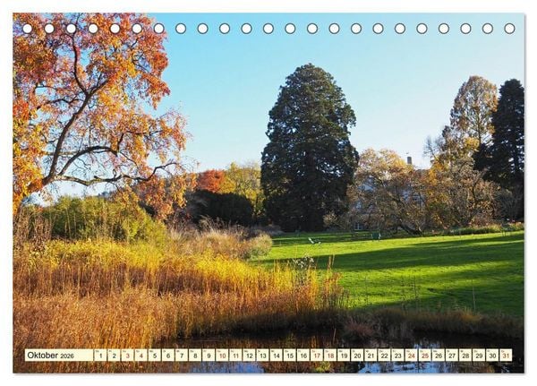 Produktbild: Der Hermannshof Das Parkjuwel in Weinheim an der Bergstra&szlig;e (Tischkalender 2026 DIN A5 quer), CALVENDO Monatskalender