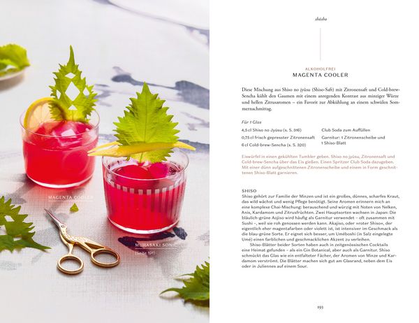 Produktbild: Japanische Cocktails