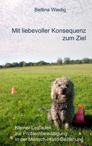 Produktbild: Mit liebevoller Konsequenz zum Ziel