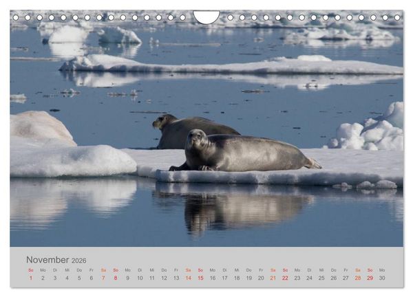 Produktbild: Spitzbergen 80&deg; Nord (Wandkalender 2026 DIN A4 quer), CALVENDO Monatskalender