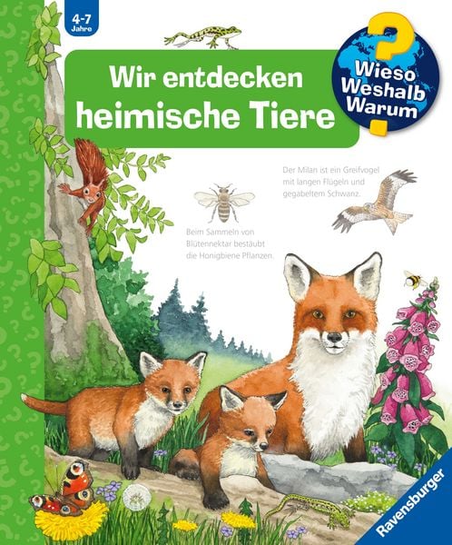 Produktbild: Wieso? Weshalb? Warum? Band 71 - Wir entdecken heimische Tiere
