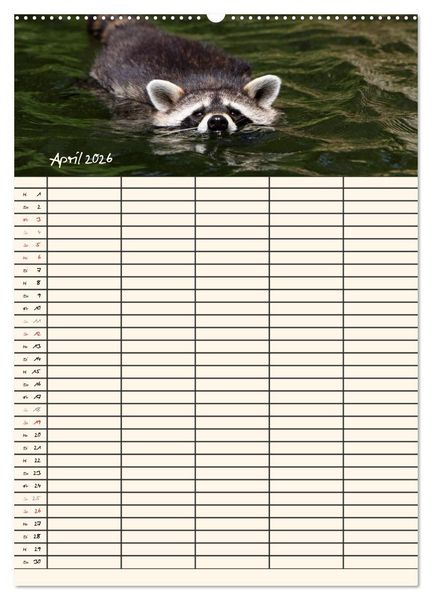 Produktbild: Waschb&auml;ren Familienplaner (hochwertiger Premium Wandkalender 2026 DIN A2 hoch), Kunstdruck in Hochglanz