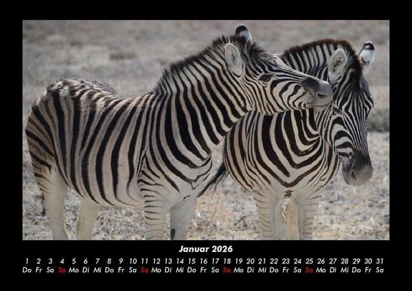 Produktbild: Zebrazauber 2026 Fotokalender DIN A3