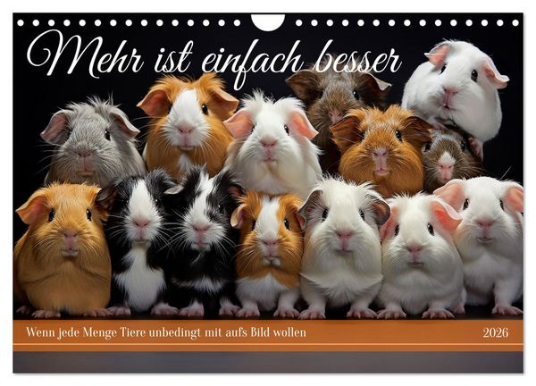 Mehr ist einfach besser (Wandkalender 2026 DIN A4 quer), CALVENDO Monatskalender