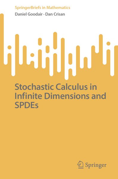 Produktbild: Stochastic Calculus in Infinite Dimensions and SPDEs