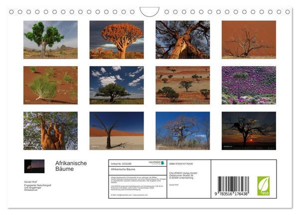 Produktbild: Afrikanische B&auml;ume (Wandkalender 2026 DIN A4 quer), CALVENDO Monatskalender