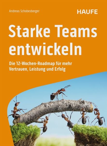 Produktbild: Starke Teams entwickeln