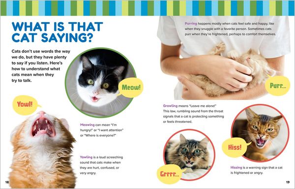 Produktbild: Animal Friends: Hello, Cats!