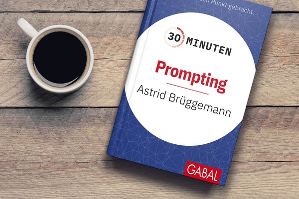 Produktbild: 30 Minuten Prompting