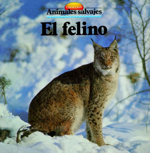 Produktbild: El felino
