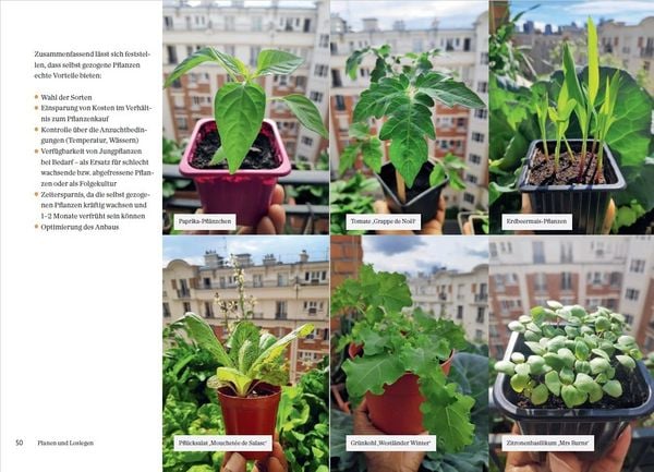 Produktbild: Mein Permakultur-Balkon