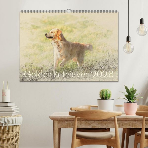Produktbild: Golden Retriever 2026 (Wandkalender 2026 DIN A2 quer), CALVENDO Monatskalender