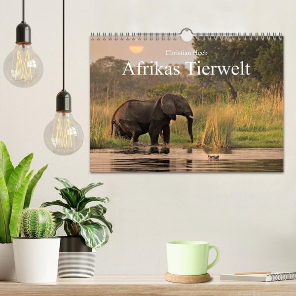 Produktbild: Afrikas Tierwelt Christian Heeb (Wandkalender 2026 DIN A4 quer), CALVENDO Monatskalender
