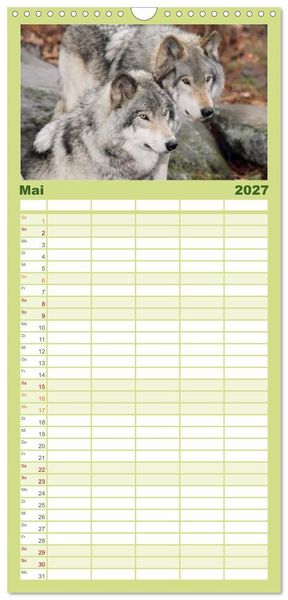 Produktbild: Familienplaner 2027 - W&ouml;lfe. Verwegene Anmut mit 5 Spalten (Wandkalender, 21 x 45 cm) CALVENDO