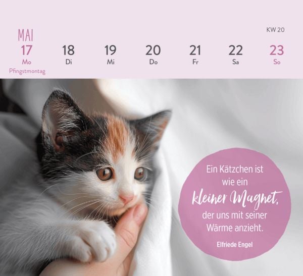 Produktbild: Mini-Wochenkalender 2027: F&uuml;r Katzenfreunde
