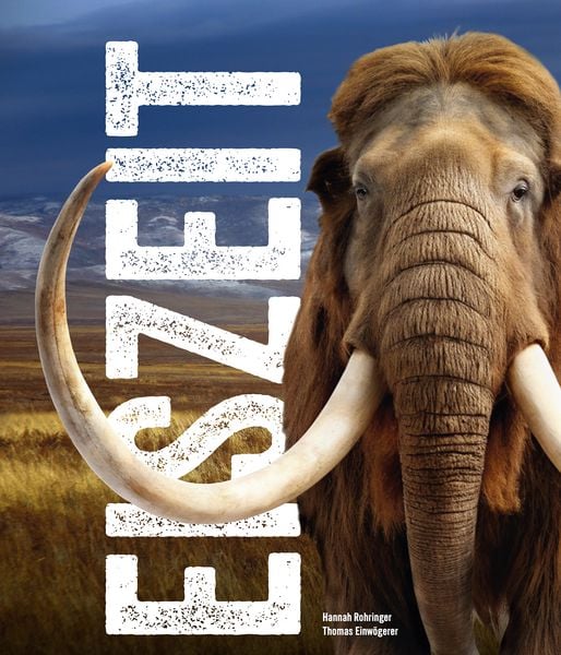 Produktbild: Eiszeit - Ice Age
