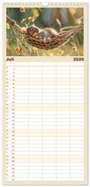 Produktbild: Familienplaner 2026 - Einfach mal abh&auml;ngen mit 5 Spalten (Wandkalender, 21 x 45 cm) CALVENDO