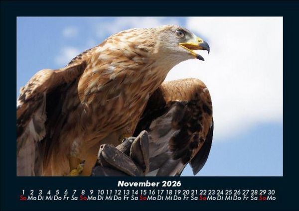 Produktbild: Adler 2026 Fotokalender DIN A5