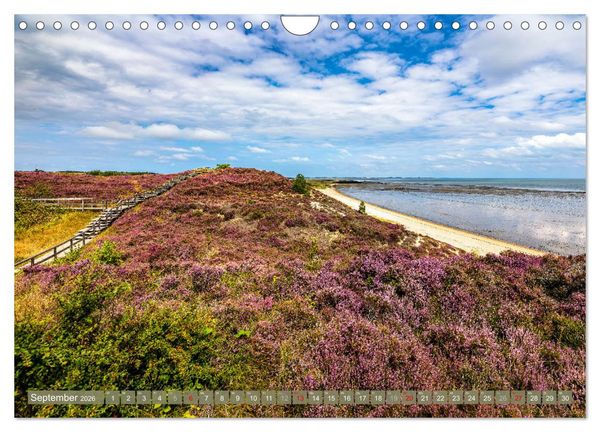 Produktbild: Magisches Sylt. Bezaubernde Landschaft (Wandkalender 2026 DIN A4 quer), CALVENDO Monatskalender