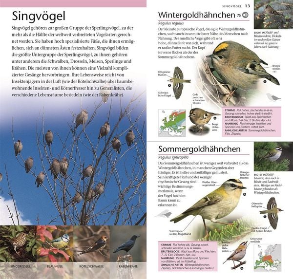 Produktbild: V&ouml;gel