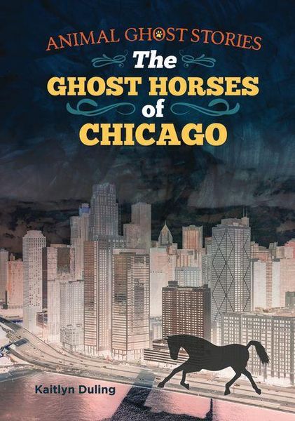 Produktbild: The Ghost Horses of Chicago