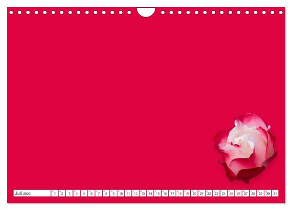 Produktbild: DIY POESIE - BASTELKALENDER (Wandkalender 2026 DIN A4 quer), CALVENDO Monatskalender