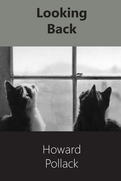 Produktbild: Looking Back