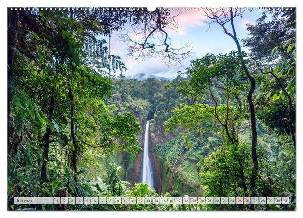 Produktbild: W&auml;lder der Welt (hochwertiger Premium Wandkalender 2026 DIN A2 quer), Kunstdruck in Hochglanz