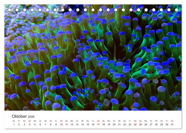 Produktbild: Tiefsee - Ein Abenteuer ins Unbekannte. (Tischkalender 2026 DIN A5 quer), CALVENDO Monatskalender